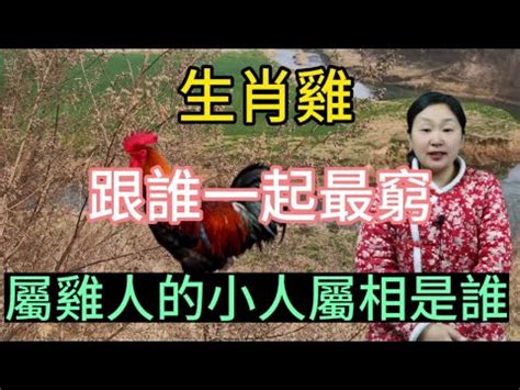 屬雞坐北朝南|【屬雞適合的方位】雞年必看！屬雞住房風水大解析：適合方位樓。